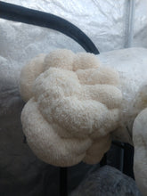 Load image into Gallery viewer, Lion's Mane Powder -3oz